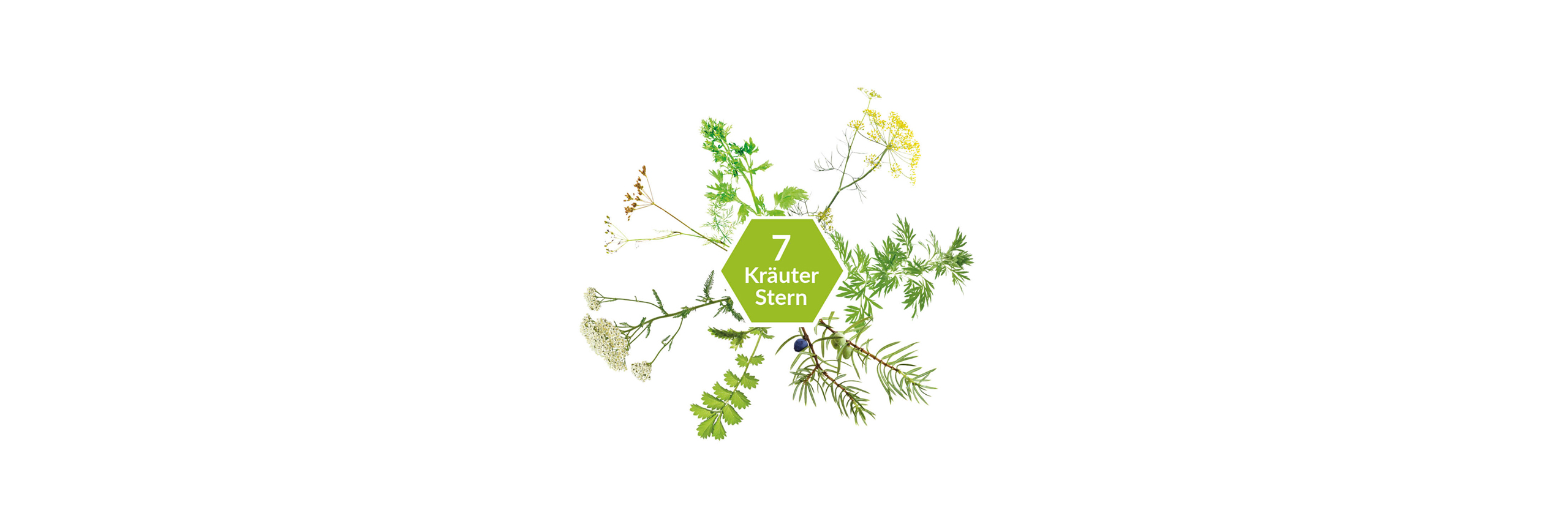 Heidelberger's Ster