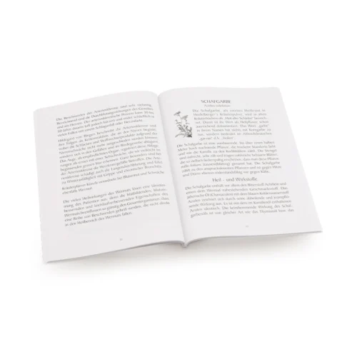 Innen Buch